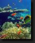images13