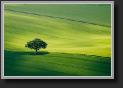 landscape2