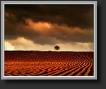 landscape3