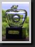 swedishopentrophy1